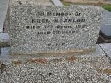 image of grave number 385739